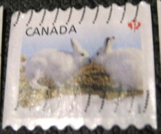 Canada 2011 Baby Wildlife Lepus Arcticus P - Used - Gebruikt