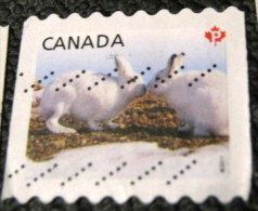 Canada 2011 Baby Wildlife Lepus Arcticus P - Used - Gebruikt