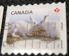 Canada 2011 Baby Wildlife Lepus Arcticus P - Used - Gebruikt