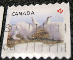 Canada 2011 Baby Wildlife Lepus Arcticus P - Used - Used Stamps