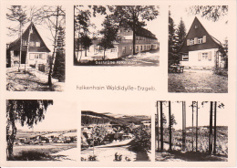 AK Falkenhain - Waldidylle - Erzgebirge - Ferienheim VEB Elektromotorenwerke Dresden - Mehrbildkarte  (17582) - Altenberg