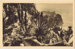 Cpa MONTE CARLO Les Jardins Exotiques  Et Le Rocher De Monaco - Exotische Tuin