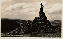 AK Wasserkuppe Rhön, Fliegerdenkmal, Panorama - Karte Nicht Gel. - Rhoen