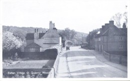 BUCKS - BISHAM VILLAGE And QUARRY WOODS Bu197 - Buckinghamshire