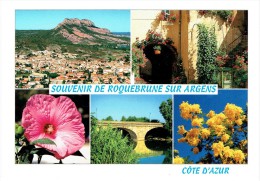 CPM FRANCE 83 VAR ROQUEBRUNE-SUR-ARGENS - Multivues 2004 - Roquebrune-sur-Argens