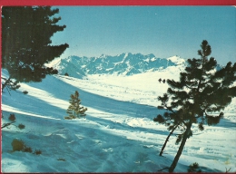 EZR-16  Haute-Nendaz, Vue Sur Le Massif Du Mont-Blanc, En Hiver.  Cachet 1971 - Nendaz