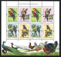 Poland 2004. Animals / Birds / Parrots Complete Sheet MNH (**) High Face Value ! - Neufs