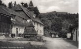 FotokarteGasthof Zwieseler Waldhaus - Unbebraucht - Etwa 1910 - Zwiesel