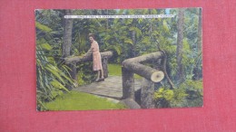 - Florida> Sarasota  Jungle Trail -    ----ref 1934 - Sarasota