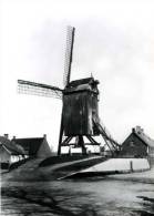AARTRIJKE Bij Zedelgem (W.Vl.) - Molen/moulin - De Verdwenen Dorp- Of Plaatsmolen. Mooie Opname Uit Circa 1930. - Zedelgem