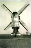 RILLAAR Bij Aarschot (Vlaams-Brabant) - Molen/moulin - De Verdwenen Houten Molen Van Vertessen. Prachtige Close-up! - Aarschot