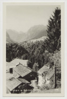 Birnbaum Im Lesachtal, Gasthof Edelweiß (Bez. Hermagor, Gailtal) - 1944 - Lesachtal