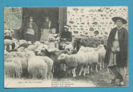 CPA 692 Berger Et Ses Moutons Au Pays CREUSOIS 23 - Sonstige & Ohne Zuordnung