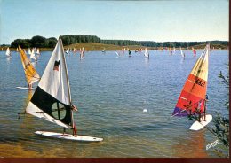 59 - Villeneuve D'Ascq : Le Lac Du Héron - Villeneuve D'Ascq