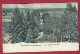 Carlsbourg. Etablissement.  Vue Générale Du Parc.  Scans Recto/verso. - Paliseul