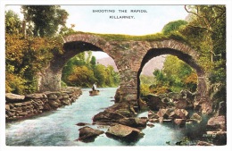 RB 1050 - Early Postcard - Shooting The Rapids - Killarney - County Kerry Ireland Eire - Kerry