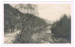 RB 1050 - Early Real Photo Postcard - The Borrowdale Birches - Cumbria Lake District - Horse & Cart - Borrowdale