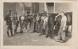 Carte Photo Soldats Brossage Des Chevaux Militaires - Otros & Sin Clasificación