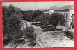 VAR 83 SALERNES CPSM AÉRIUM DU VAR - Salernes