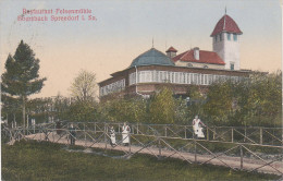 AK Felsenmühle Ebersbach Gasthaus Bei Spreedorf Neugersdorf Spremberg Löbau Seifhennersdorf Eibau Stempel Moses Niesky - Ebersbach (Loebau/Zittau)