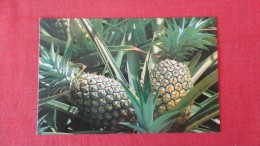 Hawaii>Pineapples -------      -------------       --- Ref 1936 - Autres & Non Classés