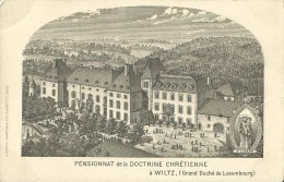 CP Wiltz - Pensionnat De La Doctrine Chrétienne - Château - Wiltz