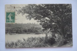 UN  CHENE  Au Bord De L'étang De VAUX-DE-CERNAY (78) - Arbres