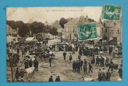 CPA 907 - Métier Maquignons Marché Aux Bestiaux Le Champ De Foire SABLE 72 - Sable Sur Sarthe