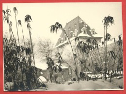 CARTOLINA NV ITALIA - TORINO - Scorcio Invernale Del Politecnico - VERA FOTOGRAFIA - Foto PERONA C.so SICCARDI - 9 X 12 - Enseignement, Écoles Et Universités