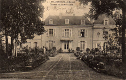 Allonnes Château De La Martinière (animee) - Allonnes