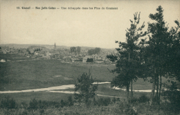 19 USSEL / Echappée Dans Les Pins De Gramont / - Ussel