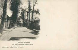 19 USSEL / Boulevard Du Palais / - Ussel