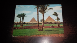 C-42642 GIZA THE PYRAMIDS - Guiza