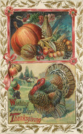 256007-Thanksgiving, Unknown No 5706, Turkey In Field, Vegetables & Fruits - Giorno Del Ringraziamento