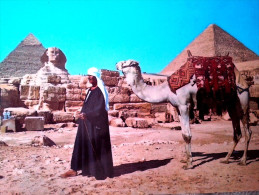 EGYPT / GIZA - SPHINX AND THE PYRAMIDS - Gizeh