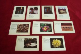 LOT 9 CARTES DE  POSTALES  DE CITATION - Europe