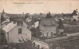 CPSM CHATILLON COLIGNY (Loiret) - Vue Générale - Chatillon Coligny
