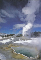 CPM US Wyoming - Yellowstone National Park - Behind Heart Spring, Lion Geyser Is Erupting - Yellowstone