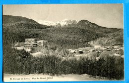 LIPP903, Saint-Cergue En Hiver, Grand-Hôtel, Circulée 1909 - Saint-Cergue