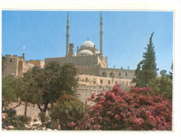 (101) Mohamed Aly Mosque - Islam