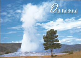 CPM US Wyoming - Yellowstone National Park - Geyser, Old Faithful - Eruption 240°F Interval From 33 To 120 Min - Yellowstone