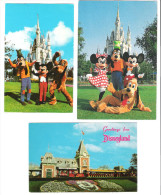 USA - 3 Cards - Disneyland - Walt Disney - Mickey Mouse - Goofy - Pluto - Disneyland