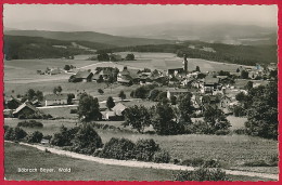 Foto-AK ´Böbrach' (Bayerischer Wald / LK Regen) ~ 1958 - Regen