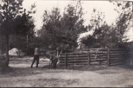 Photo 1917 In WOLHYNIEN (Sektor Twerdyn, Tumyn, Volyns´ka Oblast) - Jägerlager, RIR 122 (A115, Ww1, Wk 1) - Ukraine