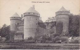 CHÂTEAU  DE  LASSAY - Lassay Les Chateaux