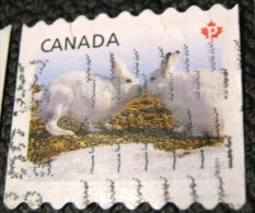 Canada 2011 Artic Rabbits P - Used - Gebruikt