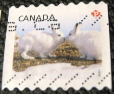 Canada 2011 Artic Rabbits P - Used - Used Stamps