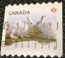 Canada 2011 Artic Rabbits P - Used - Gebruikt