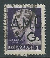 1945-47 TRIESTE AMG VG USATO IMPERIALE 1 LIRA - L7 - Gebraucht