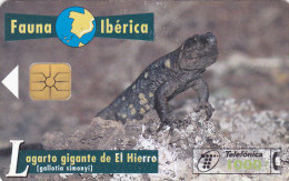 SPAIN   Phonecard With Chip  Reptile, Lizard - Cocodrilos Y Aligatores